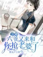 少帅,六爷又来和你抢老婆了