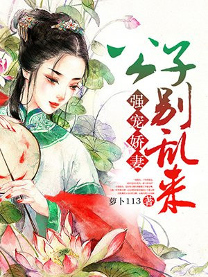 强宠娇妻:公子别乱来