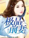 极品前妻