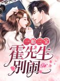 一胎三宝:霍先生别闹