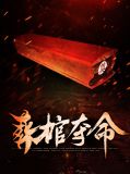 葬棺夺命王浩