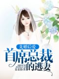 先婚后爱:首席总裁的逃妻
