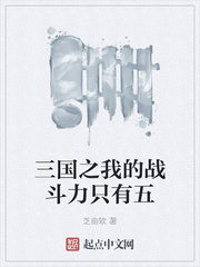 三国之我的战斗力只有五
