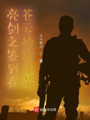 亮剑之签到在苍云岭战斗前