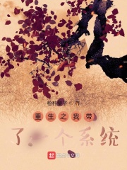 重生之我带了一个系统