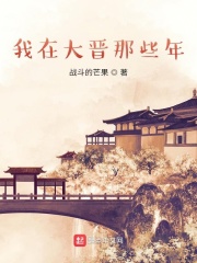 我在大晋那些年