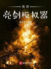 我的亮剑模拟器