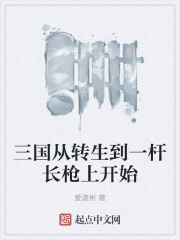 三国从转生到一杆长枪上开始