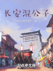 长安混公子