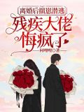 离婚后揣崽潜逃,残疾大佬悔疯了