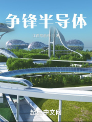 争锋半导体