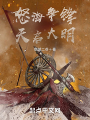 怒海争锋:天启大明