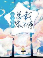 萌宝甜妻,总裁宠不停