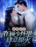 顶级招惹:在顾少怀里肆意撩火!