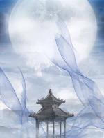 医女难娶:听说夫人想杀我