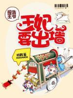 报告王爷:王妃要出墙