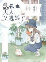 厉先生,夫人又逃婚了