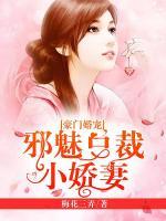 豪门婚宠:邪魅总裁小娇妻