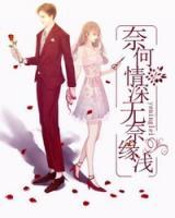 奈何情深,无奈缘浅