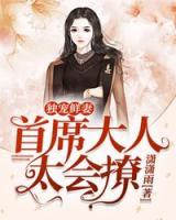 独宠鲜妻:首席大人太会撩