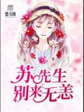 苏先生,别来无恙