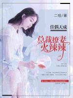 佳偶天成:追妻送萌宝