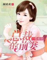一爱成劫:总裁的前妻