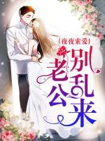 夜夜索爱:老公别乱来