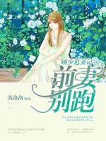 顾少追妻记:前妻别跑!