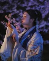 惊世风华:痴傻王妃不可欺