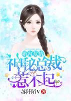 婚内危情:神秘总裁惹不起