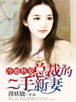冷婚热爱:总裁的二手新妻