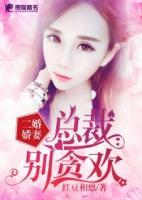 二婚妻子,总裁求别爱