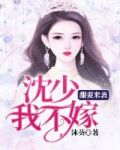 甜妻来袭:沈少,我不嫁