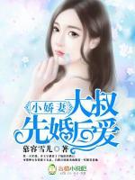 小娇妻,大叔先婚后爱