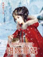 情锁深宫红颜泪:错嫁罪妃