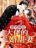 强势锁爱:大佬的二婚甜妻