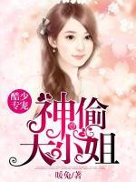 酷少专宠:神偷大小姐