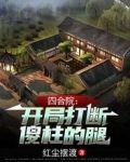 四合院:开局打断傻柱的腿