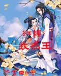红楼:我为王
