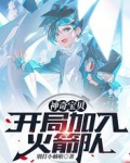 神奇宝贝:开局加入火箭队