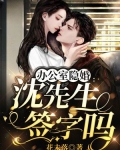 办公室隐婚:沈先生,签字吗