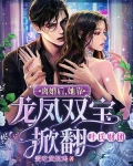 离婚后,她靠龙凤双宝掀翻叶氏财团