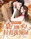 被催婚后,豪门继承人拉着我领证