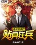 冰山总裁的贴身狂兵