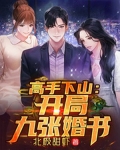 高手下山:开局九张婚书