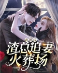 离婚后,渣总追妻火葬场