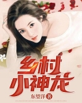 乡村小神龙
