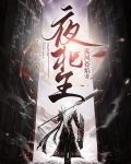 夜北王