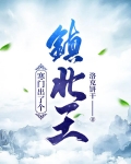 寒门出了个镇北王